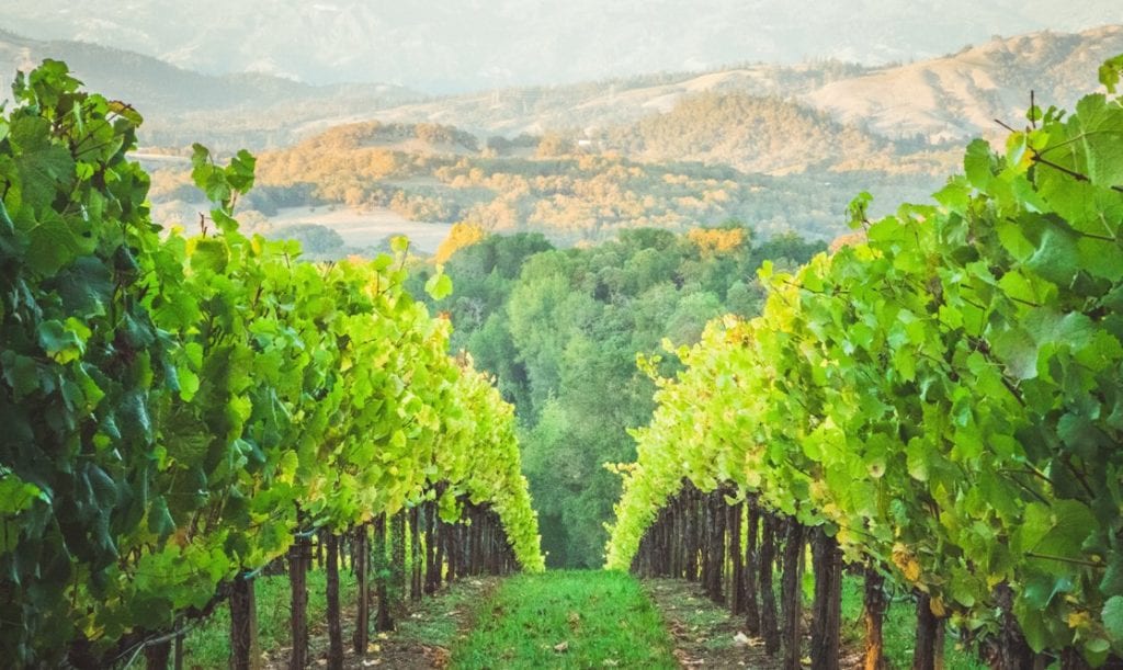 Temecula, CA